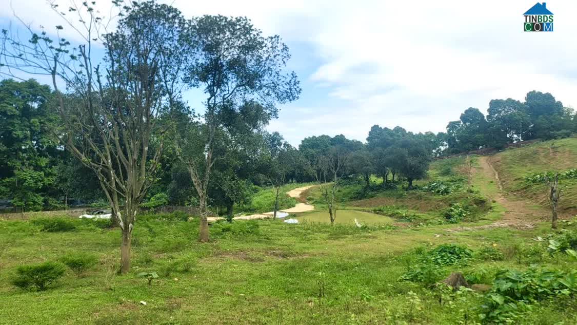 Ảnh "hàng Hiếm" Lương Sơn: Quỹ Đất 4,4 Héc-Ta – Pháp Lý Chuẩn – Giá Tận Gốc 0