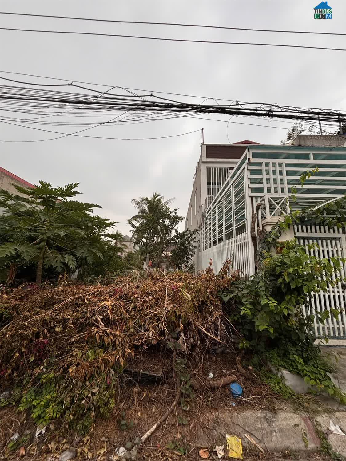 Ảnh Giá 2x triệu/m² Lô đất trục chính Công viên Hải Thành – Diện tích lớn 177m² Gần đường 353... 0