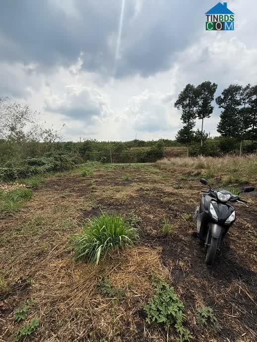 Ảnh Bán Đất Cẩm Mỹ – Đồng Nai Gần Sân Bay Long Thành 0