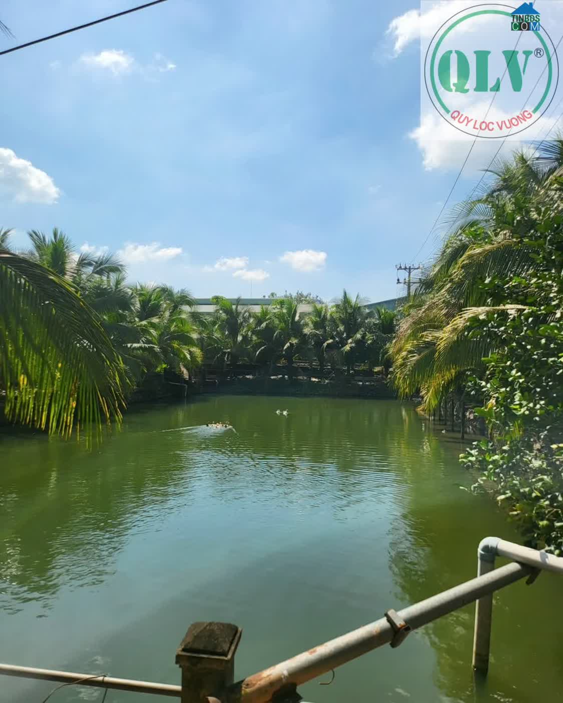 Ảnh Cho Thuê Nhà Xưởng – Tân An, Vĩnh Cửu, Đồng Nai – 4.500m² 0