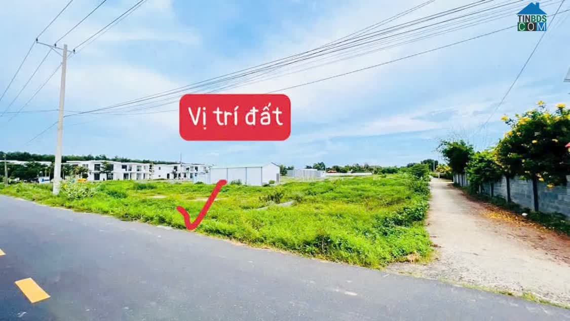 Ảnh Bán Gấp – Hàng Ngộp Lô Đất Trục Chính Khu Biệt Thự Phan Gia – Phước Hải 0