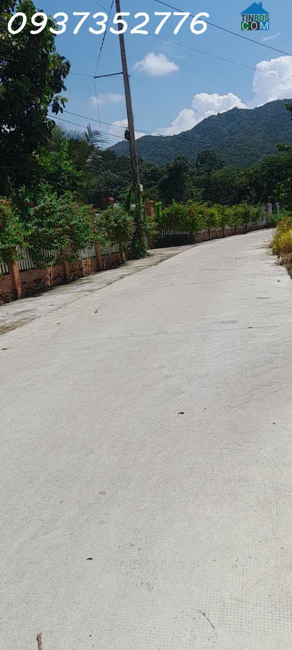 Ảnh Cần bán siêu phẩm đất thổ cư 13.000m2 ngay tại trung tâm xã Châu Pha , có suối bao quanh 0