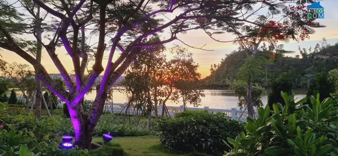 Ảnh NGHỈ DƯỠNG ĐẲNG CẤP – ƯU ĐÃI MÙA HỘI TRƯỜNG & THU ĐÔNG 

 Khu nghỉ dưỡng cao cấp Đồi Rồng – Đồ... 0