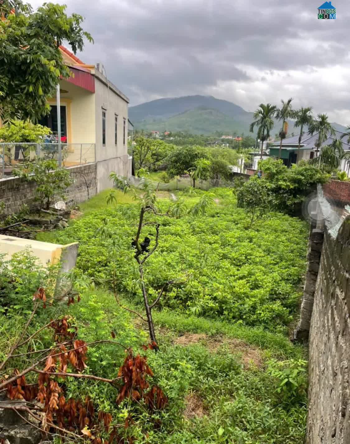 Ảnh Bán Đất Diện Tích Lớn – Xã Hồng Thái Đông, TX Đông Triều, Quảng Ninh 0