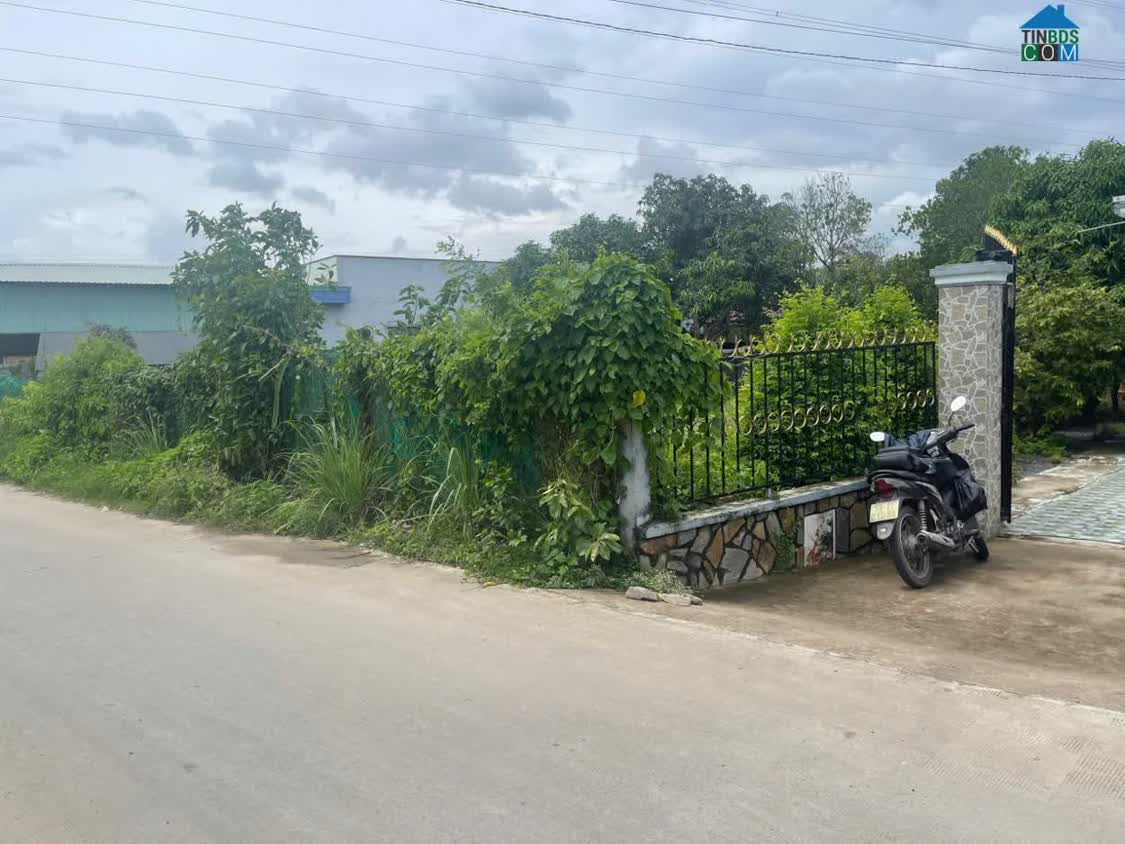 Ảnh Bán nhanh lô đất 5x20 Nguyễn Thị Bảy, Bến Lức, 18tr/m2, SHR 0