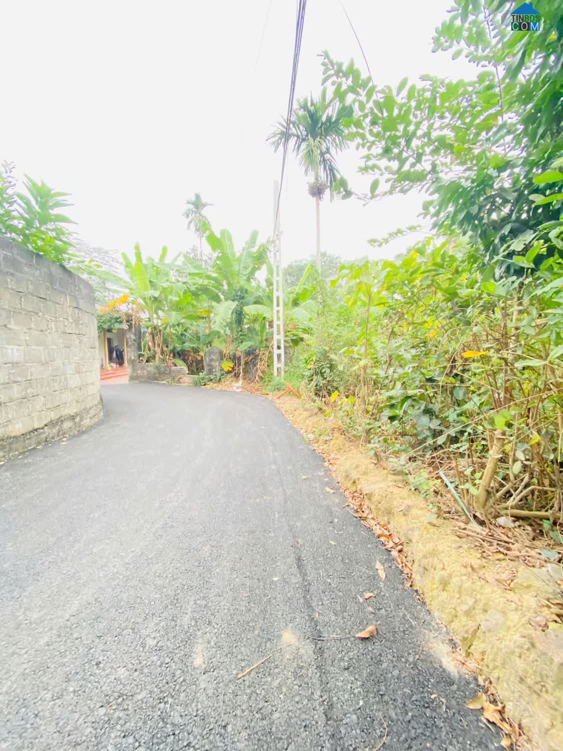 Ảnh Bán đất tại Cầu Đá, Hương Sơn, Bình Xuyên, Vĩnh Phúc. DT 774m2 giá chỉ 6,6 tỷ 0