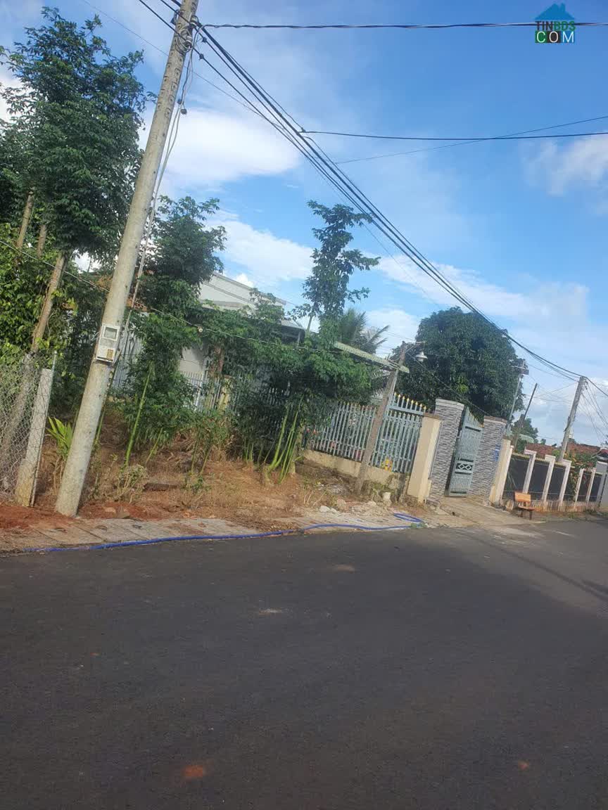 Ảnh Chính Chủ Cần Bán Lô Đất Đẹp Mặt Tiền – Tại Hòa Hưng, Xuyên Mộc, Bà Rịa – Vũng Tàu. 0