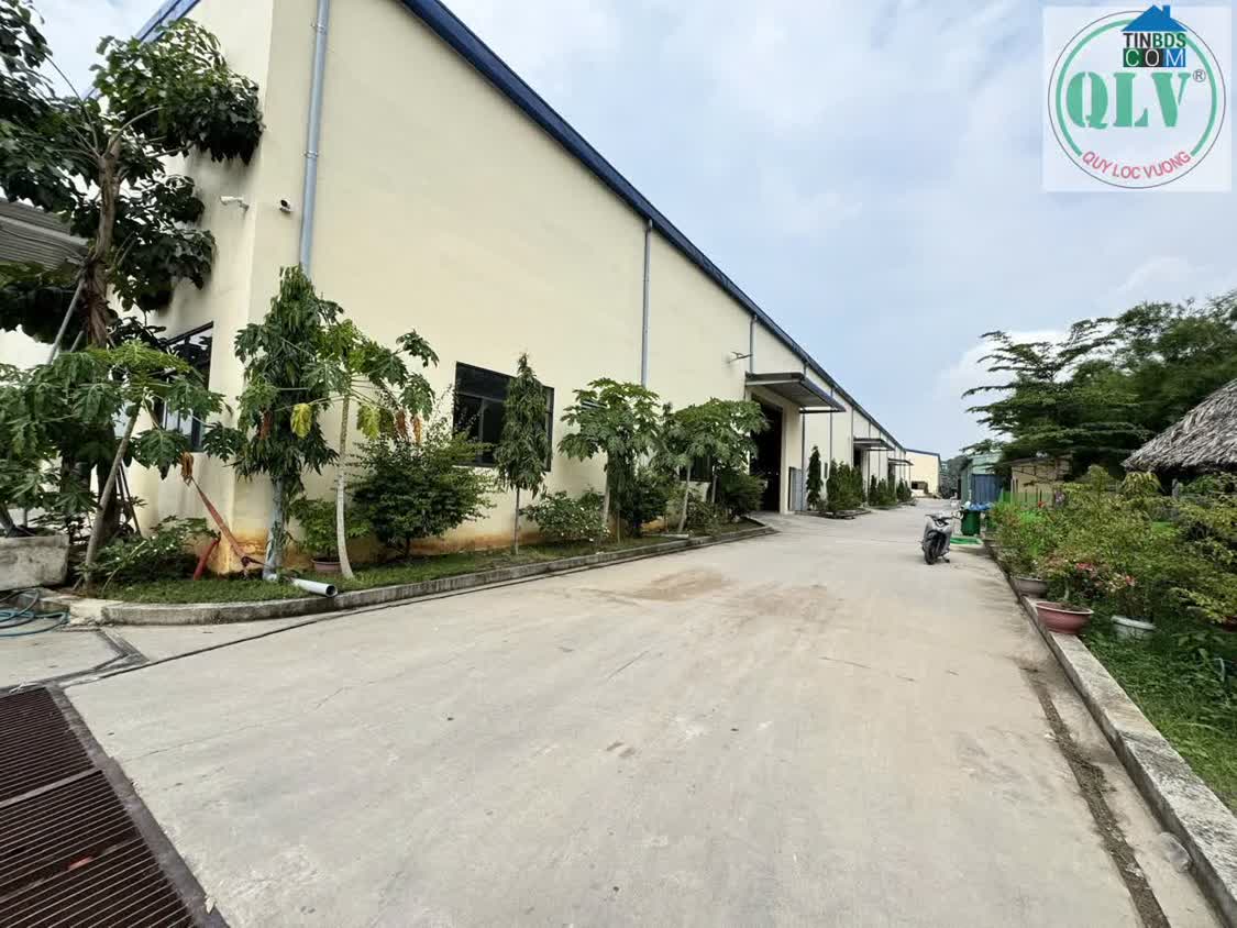 Ảnh Bán Nhà Xưởng – Khánh Bình, Tân Uyên, BD – 9.313m² 0