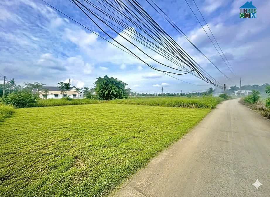 Ảnh “giá Chạm Đáy” Tại Bến Lức – 125m² Thổ Cư Chỉ 2,5 Tỷ 0