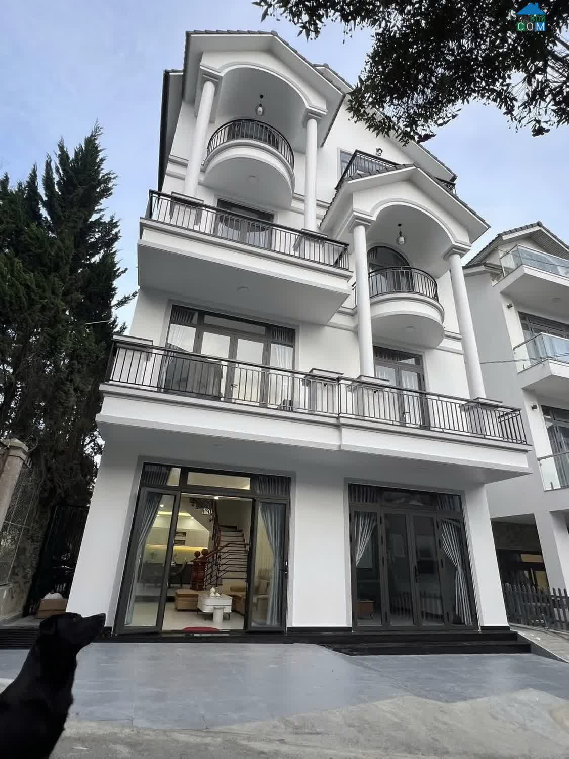 Ảnh Cho Thuê Nhà Đường Vạn Hạnh - Phường 8 Đà Lạt - LH 0988623909 0