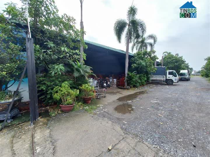 Ảnh Bán Đất Mặt Tiền Tỉnh Lộ 8, Củ Chi - 8.400 M2 0