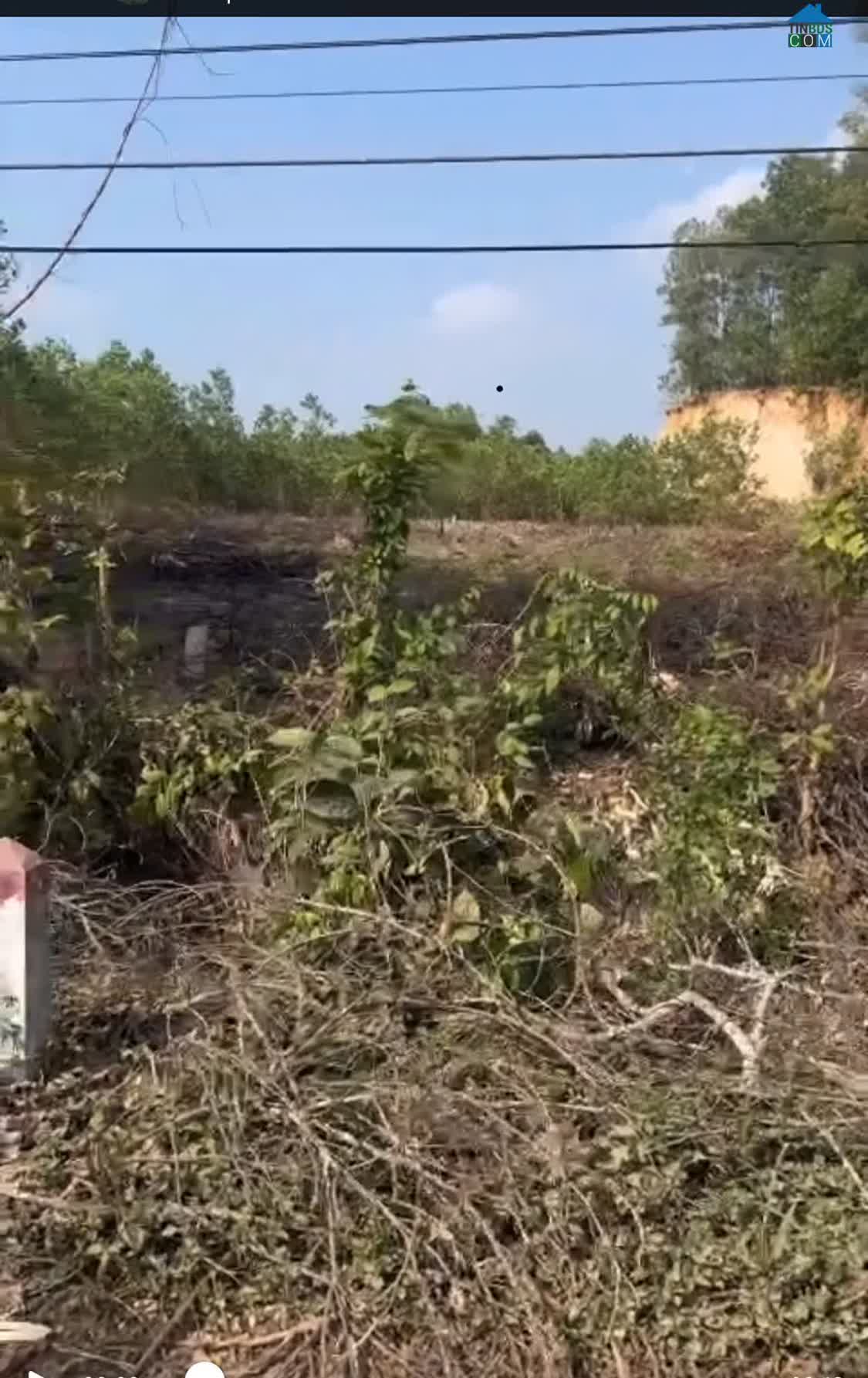 Ảnh Bán Lô Đất Đẹp – Giá Đầu Tư Tại Gia Lâm, Ninh Bình 0