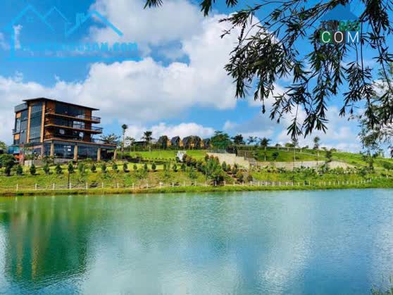 Ảnh Vùng Đất Đầu Tư Mới - Bảo Lộc Không Khí Mát Mẻ Giá Chỉ Từ 1 Tỷ 2 0