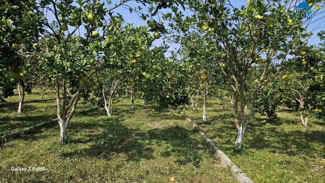 Ảnh BÁN ĐẤT TRUNG TÂM XÃ Bảo Hiệu – HUYỆN Yên Thủy – TỈNH Hòa Bình 0