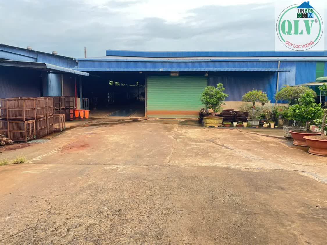 Ảnh Cho Thuê Nhà Xưởng – Huyện Đồng Phú, BP – 10.000m² 0