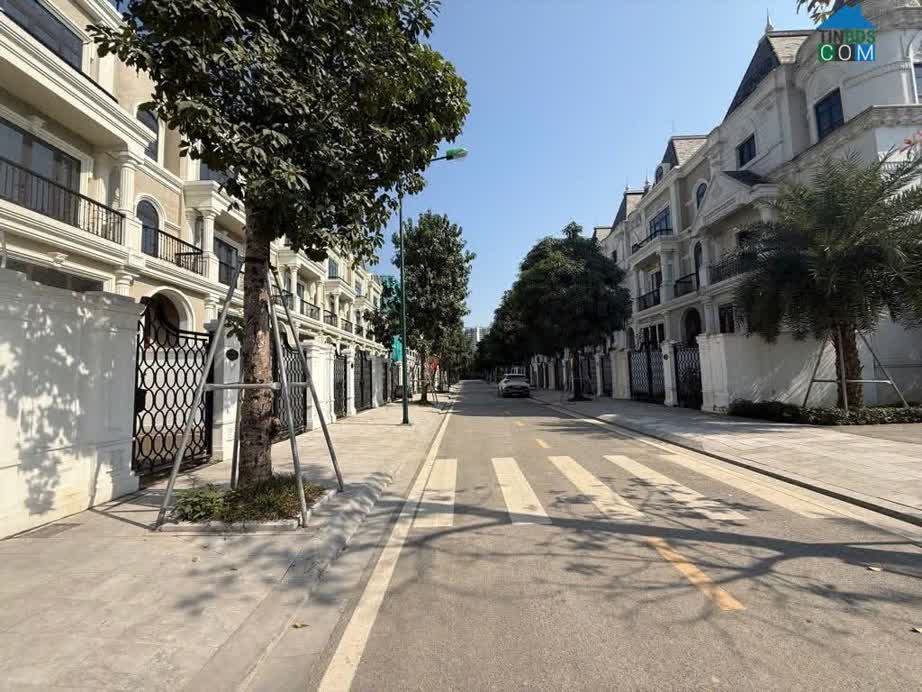 Ảnh Bán biệt thự Ciputra, 150m2 x 4T x MT 7m, Tầng hầm Thang máy, Khu đô thị Nam Thăng Long 0