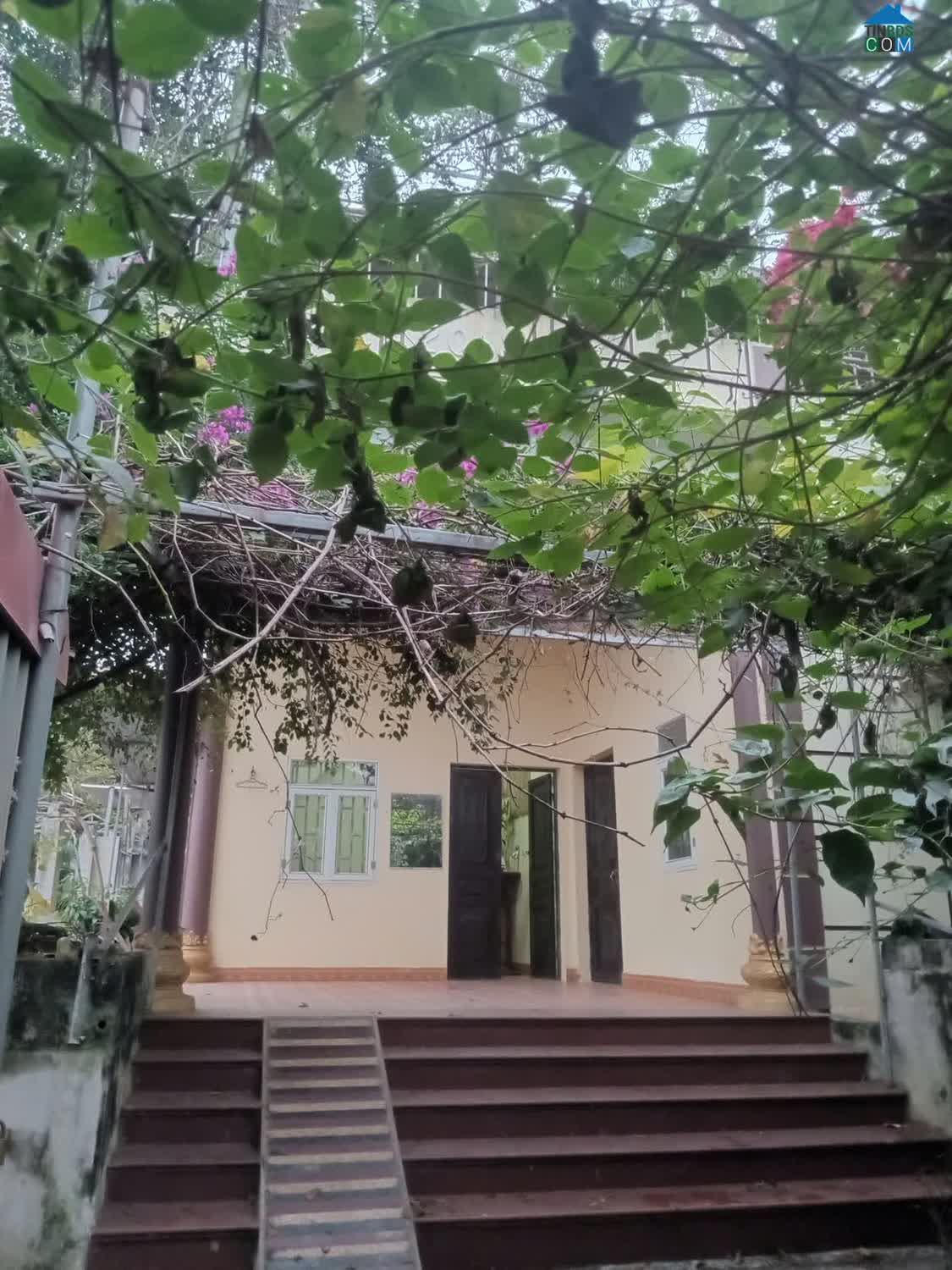 Ảnh Cho thuê nhà riêng dài hạn, không gian rộng, 3 mặt thoáng tại xã Bảo Đài, giá tốt 0