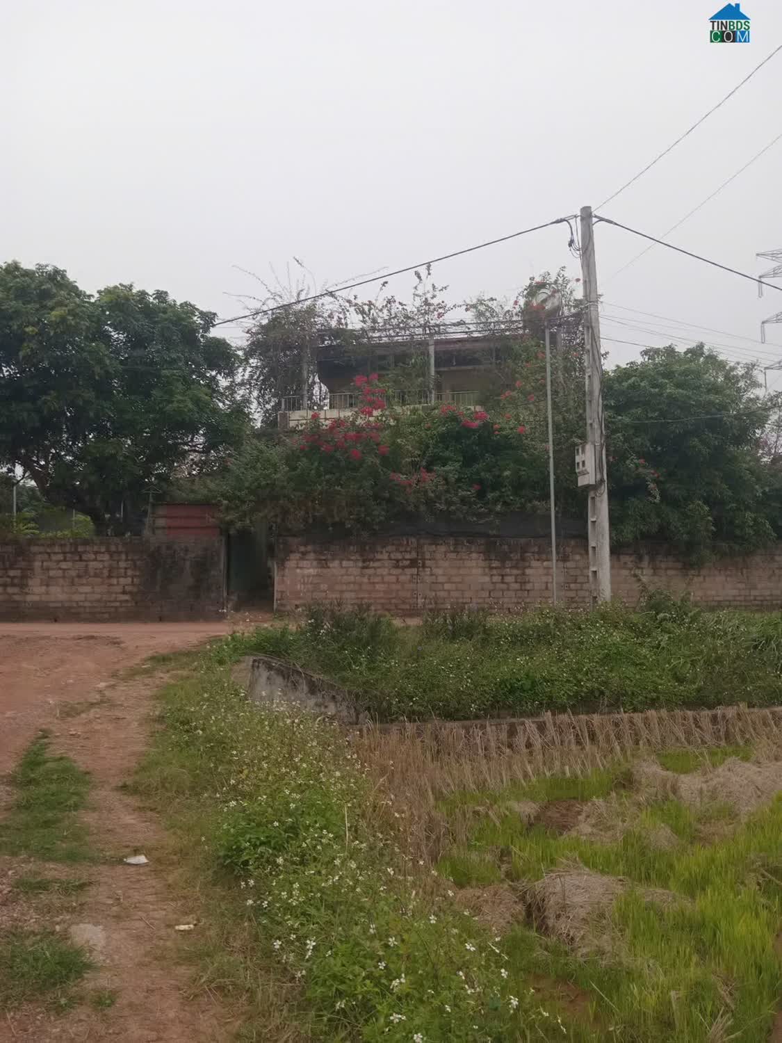 Ảnh Cho thuê nhà riêng dài hạn, không gian rộng, 3 mặt thoáng tại xã Bảo Đài, giá tốt 1