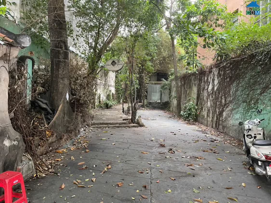 Ảnh Cho thuê nhà nguyên cănvị trí đẹp – Tân Bình 0