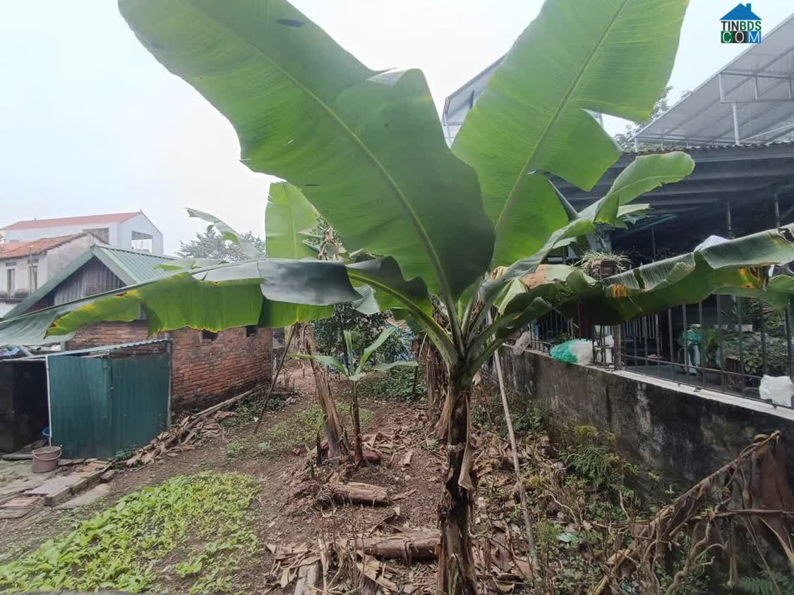 Ảnh Bán đất Hoà Lạc, TTCNCHoà Lạc, sát hv Tài Chính, đh FPT, DHQGHN cách metro 500m, KD rất sầm uất . 0