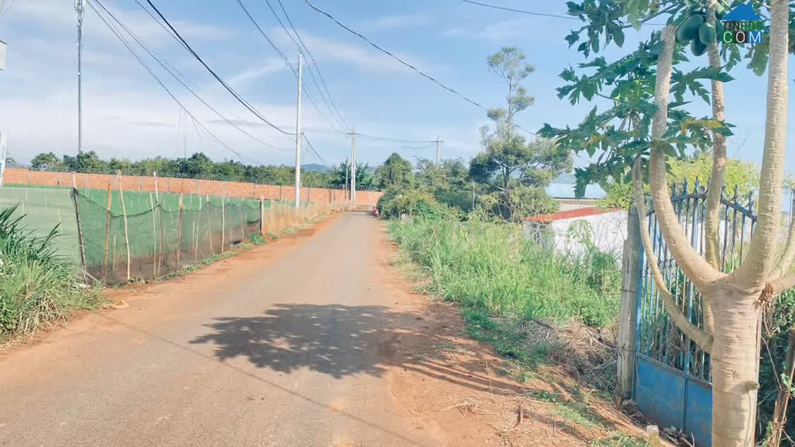 Ảnh Bán đất hẻm nhựa ql20, phú hội, đức trọng cũ, lâm đồng 0