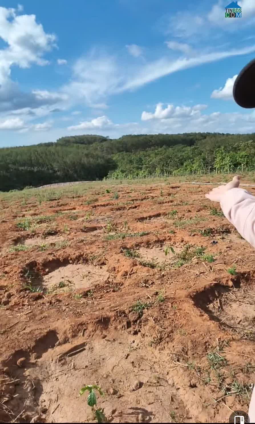 Ảnh Bán Đất – Bao Bìa, Giá Tốt - Xã Ia Dom - Tỉnh Gia Lai 0