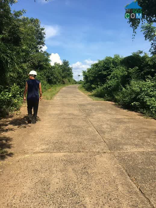 Ảnh Bán Đất Chính Chủ – Đường Bê Tông – Diện Tích Lớn 0