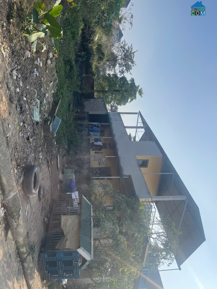 Ảnh Bán đất Hoà Lạc, TĐC Hoà Lạc, đối diện hv Tài Chính, đh FPT, ĐHQG, cách metro 500m, kd sầm uất. 0