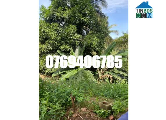 Ảnh CHÍNH CHỦ cần bán nhanh lô đất mặt tiền đường Y Jút, Buôn Ma Thuột. 135 tỷ. 0769406785 0