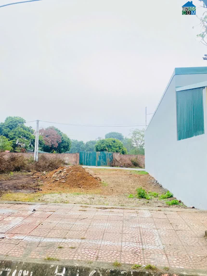 Ảnh Bán đất tại Ngoại trạch, Bình Xuyên, Vĩnh Phúc. DT 100m2 giá Bán đất tại Ngoại trạch, Bình Xuyên... 0