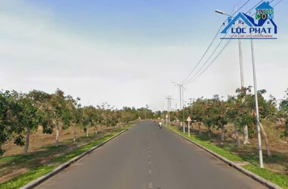 Ảnh S118-Bán đất 13000m² khoảng 38,9 tỷ tại KCN Bà Rịa Vũng Tàu đã trả tiền 1 lần 0