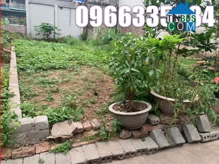 Ảnh Chính chủ e bán đất siêu đẹp tại Cổ Châu, Nam phong, Phú xuyên, 0966335584 0