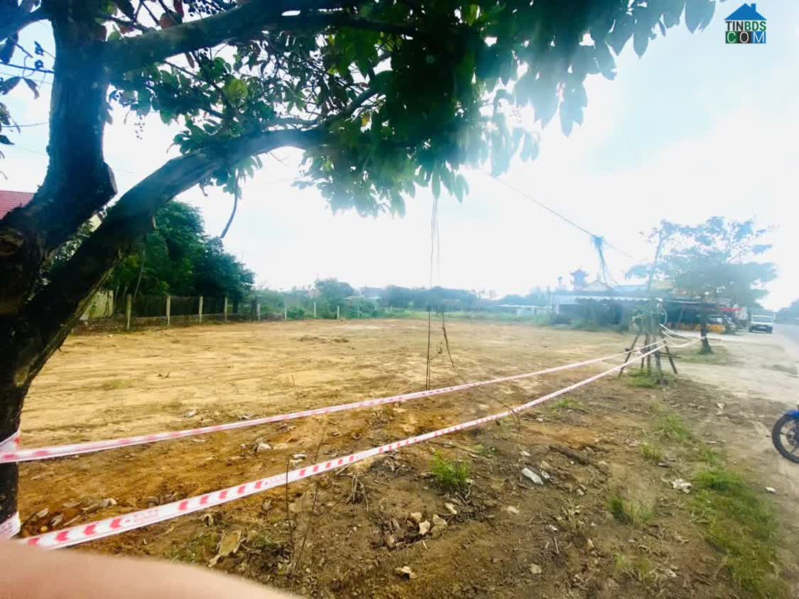 Ảnh Chính chủ cân bán đất lô đất 2 MT nam kỳ khởi nghĩa, Hòa xuân, Hòa Vang, Đà nẵng 0