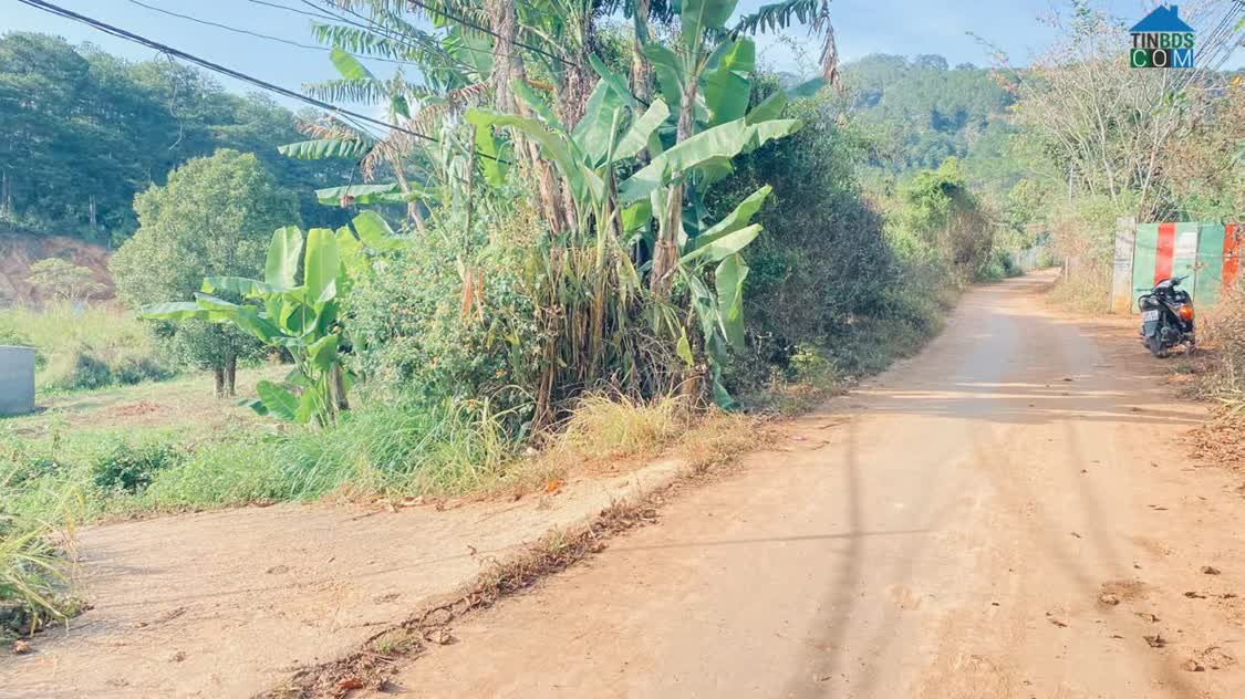 Ảnh 4 sào hẻm ql27, Dran, đơn dương, lâm đồng 0