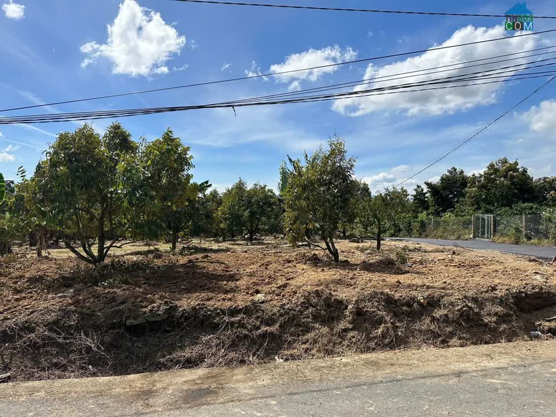 Ảnh Đất Đẹp Cần Bán Đất – Di Linh - Lâm Đồng 0