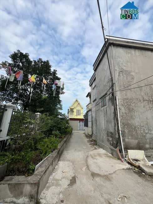 Ảnh Bán Đất Ngõ 216 Cát Linh – Phường Tràng Cát, Hải An, Hải Phòng Khu Dân Cư Ổn Định 0