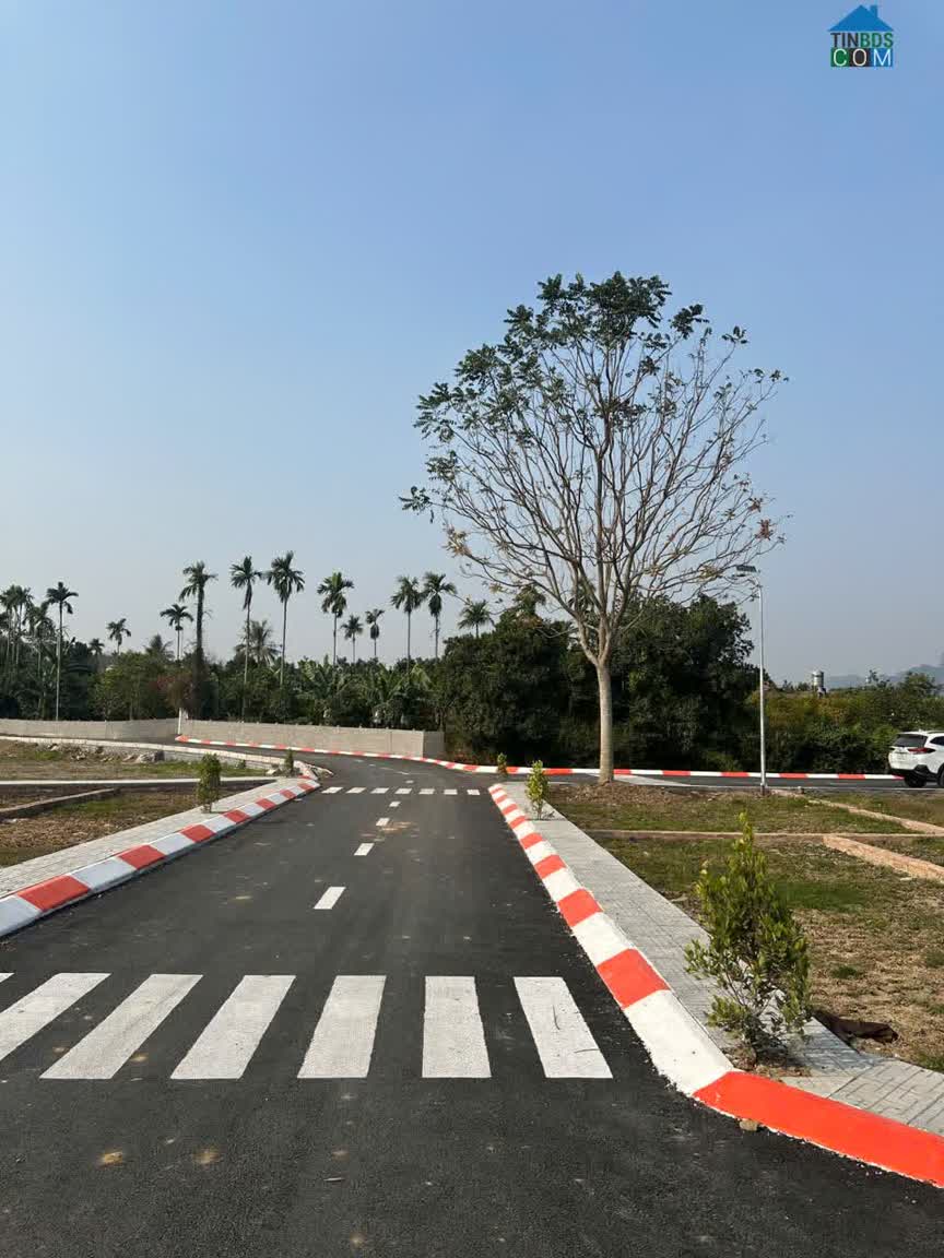 Ảnh Chỉ 3XX Triệu – Sở Hữu Lô Góc "hoa Hậu" Tại Tâm Điểm Công Nghiệp Lạc Thủy 0