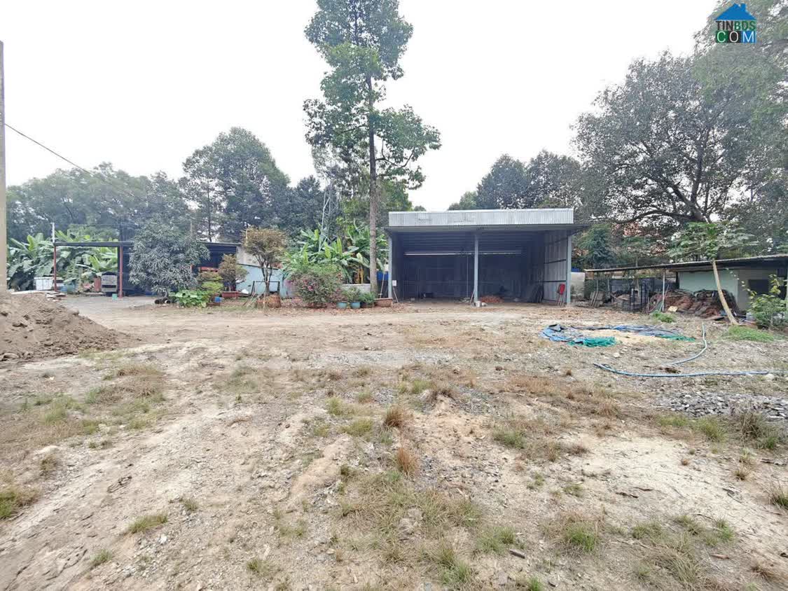 Ảnh XT718 CHO THUÊ XƯỞNG VÀ ĐẤT, MT Quốc Lộ 51, thích hợp nhiều ngành nghề 0