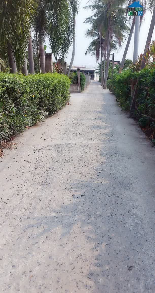 Ảnh Bán Nhanh Đất 115M2 Chợ Đào, Long Hòa, Cần Đước, Long An, 1 Tỷ 200 Triệu, SHR 0