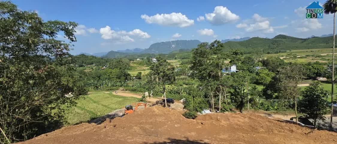 Ảnh CƠ HỘI HIẾM CÓ - SỞ HỮU 2800m² FULL THỔ CƯ - CHỈ 1,7TR/M2 0