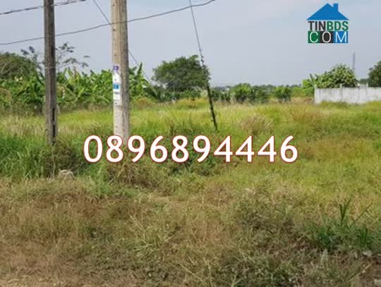 Ảnh Chính chủ bán Lô đất mặt tiền Đ.Quách Văn Tuấn (P.5, Tp.Tân An), p. Long An, Tây Ninh (mới),... 0