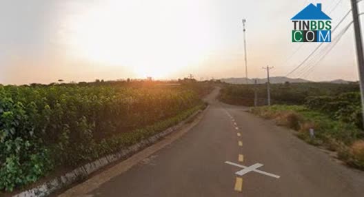 Ảnh Bán Đất Chính Chủ – Xã B’la, Huyện Bảo Lâm, Lâm Đồng 0