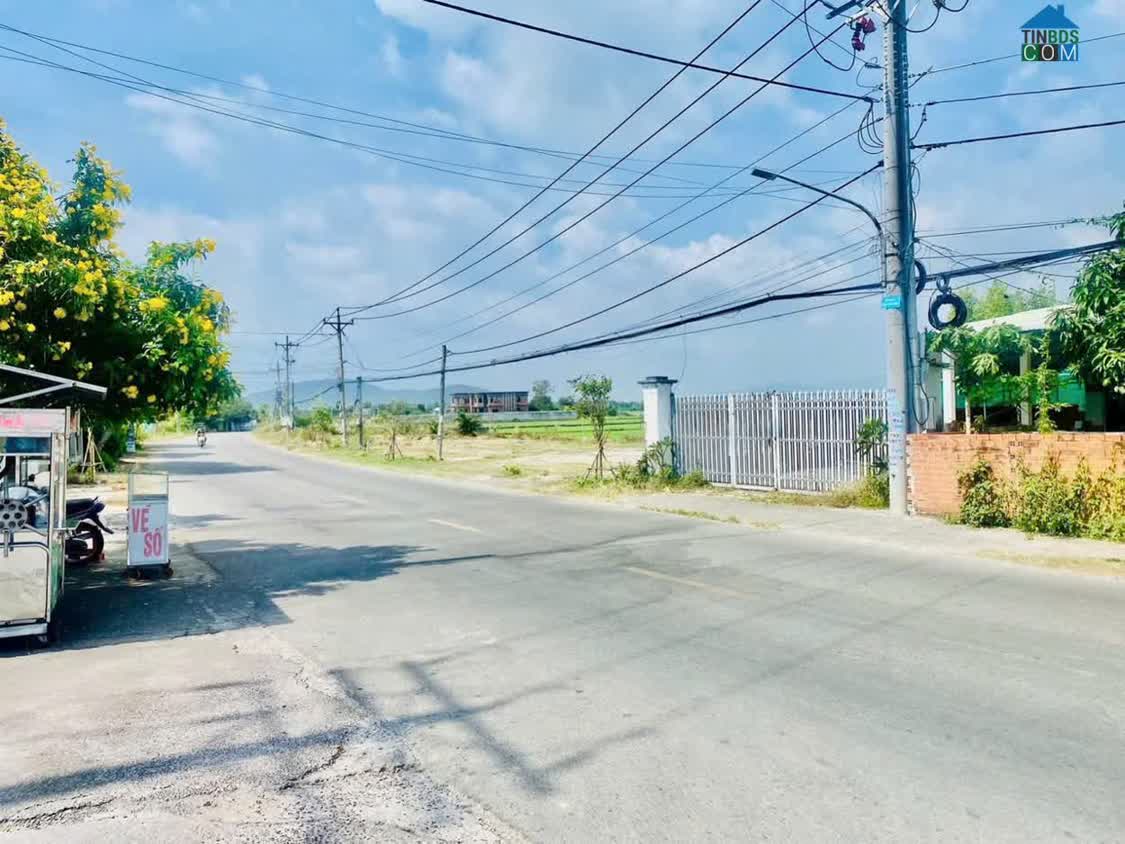 Ảnh Chủ Cần Tiền Gấp – Mặt Tiền TL44B Giá Mềm 0