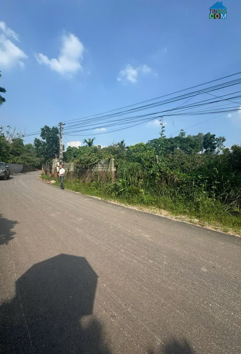 Ảnh Chính Chủ Bán Lô Đất Tại Tân Yên – Bắc Giang 0