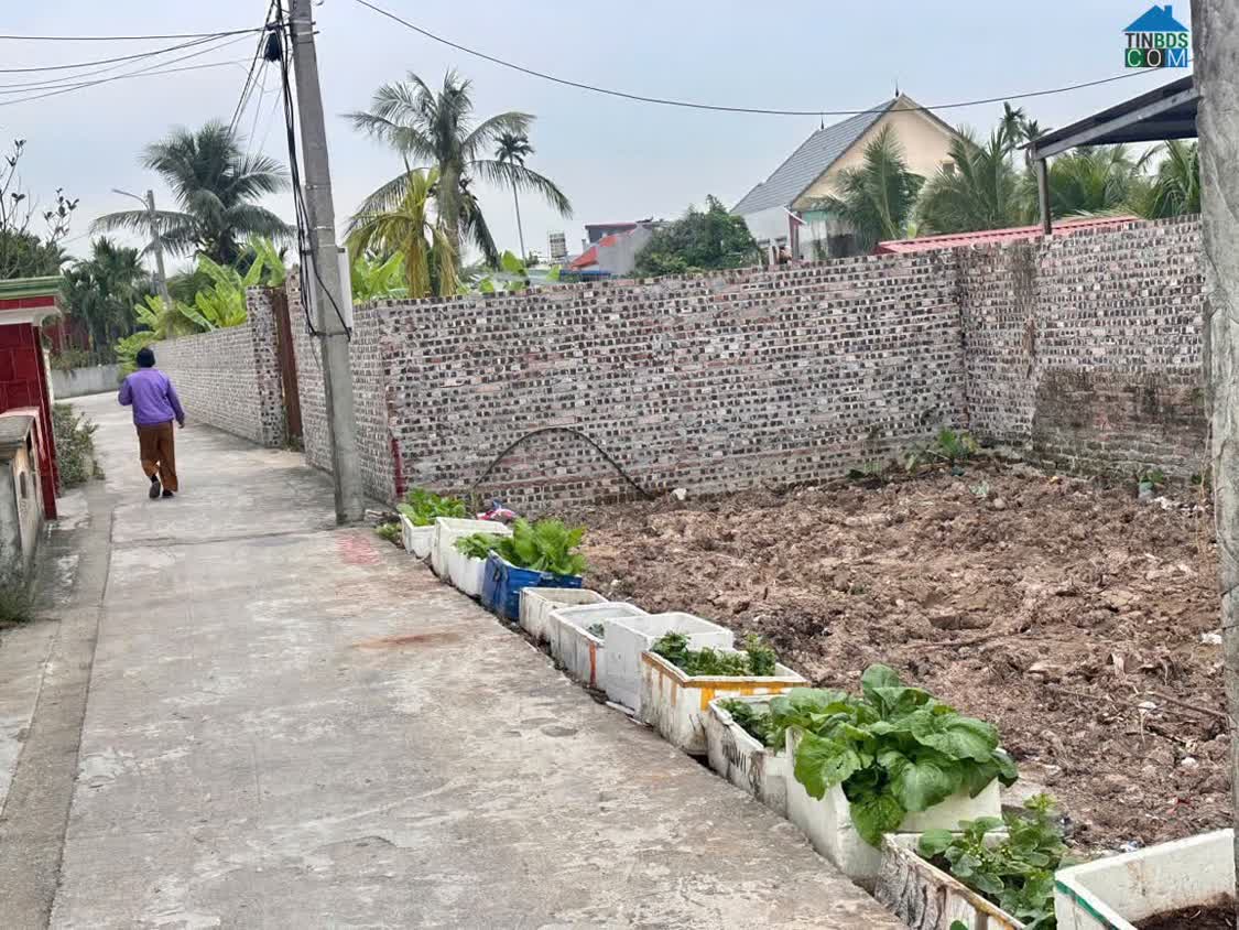 Ảnh Bán đất Dân Tiến Nam Đồ Sơn giá hiếm hơn 6xx triệu ngõ ô tô ZALO 0567 222 555 0