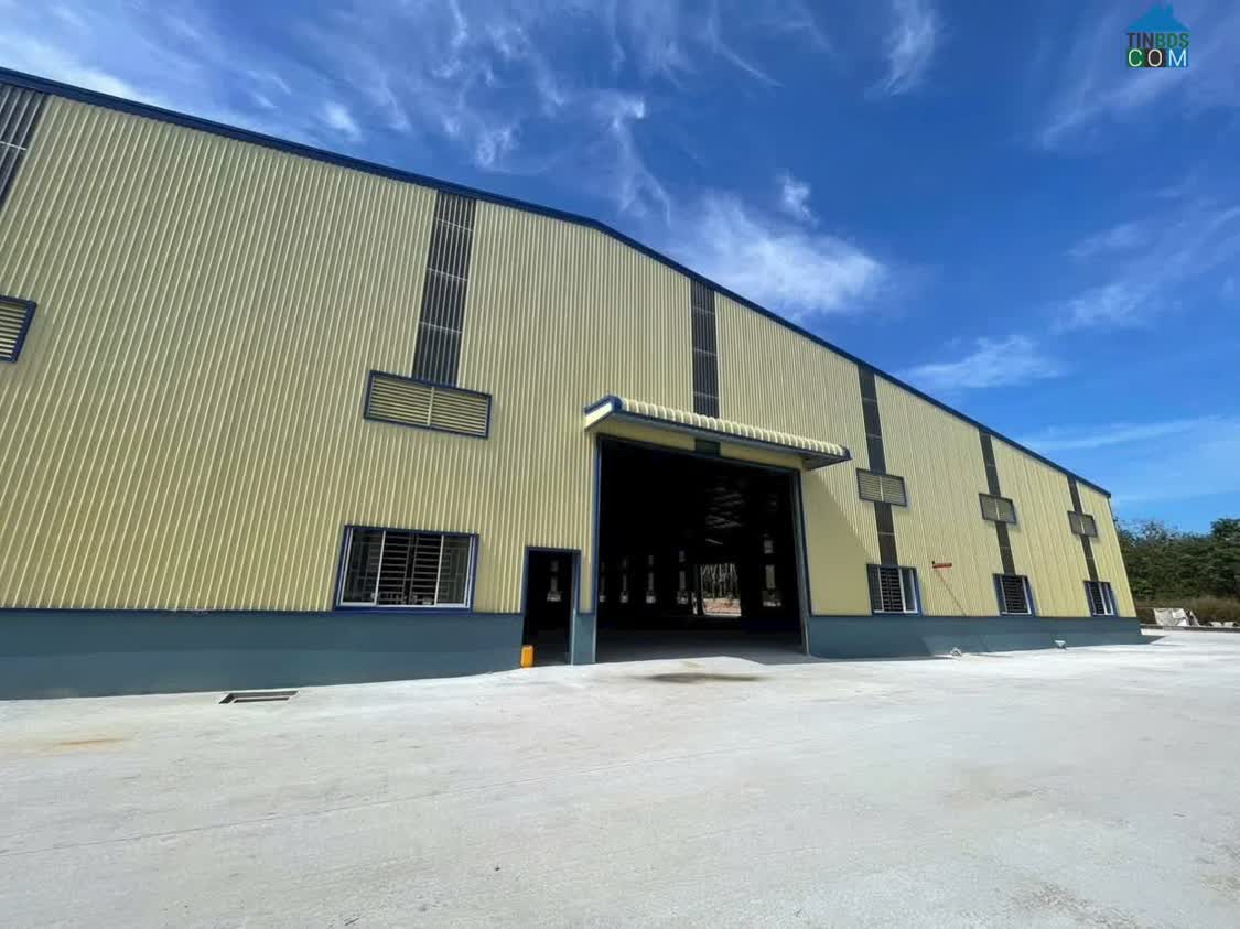 Ảnh Cho Thuê Kho - Xưởng Ổn Định Lâu Dài, khung thép tiền chế, chiều cao an toàn 0