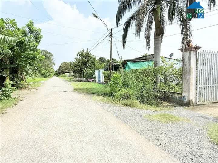 Ảnh Bán nhà tặng vườn mặt tiền đường sát Tỉnh Lộ 15 đường xe container hơn 1278m2 nhỉnh 6 tỷ 0