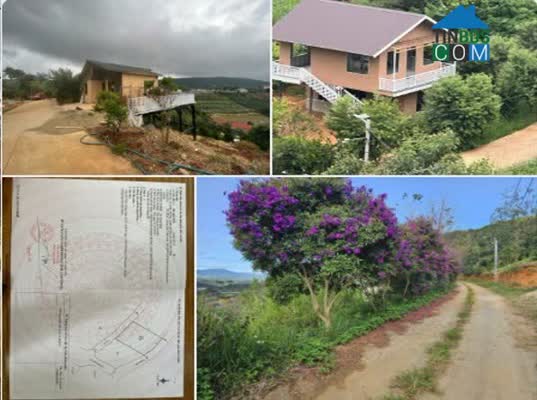 Ảnh Cần bán nhanh lô đất vị trí đẹp - Giá cực tốt tại P.Xuân Trường - Đà Lạt, Lâm Đồng, 0332373339 0