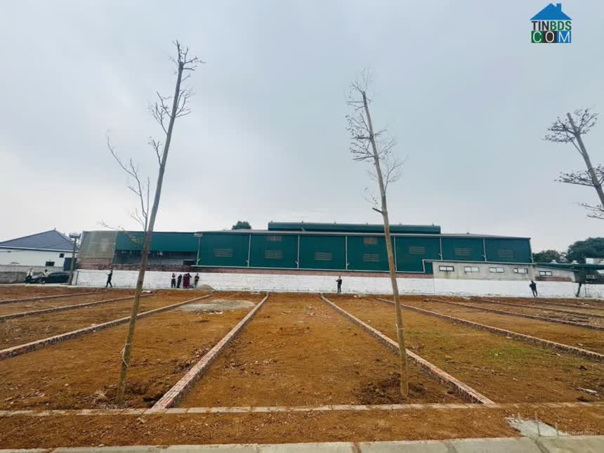 Ảnh Bán Lô Đất 100M 2 Mặt Tiền Sát Cổng Chính Đại Học Quốc Gia, Khu CNC Hòa Lạc, Cách QL21 Chỉ 300M 0