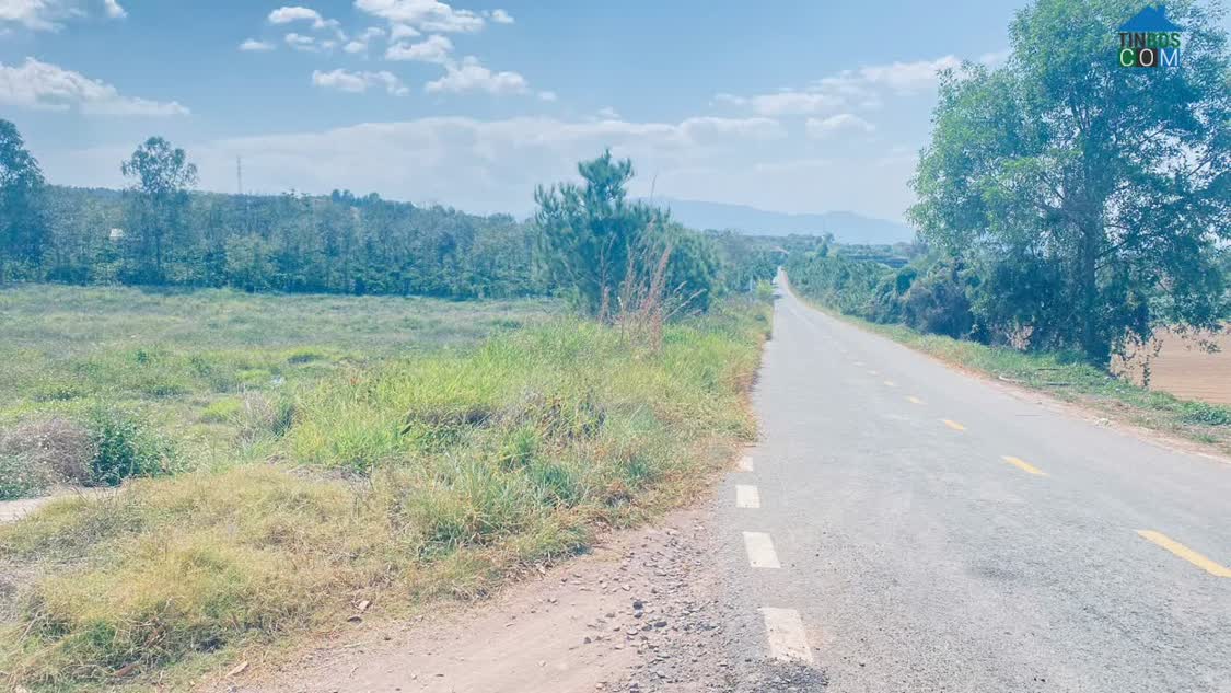 Ảnh Đất 3 mặt tiền nhựa tân phú, ninh gia, lâm đồng qua cầu tân bình một đoạn 0